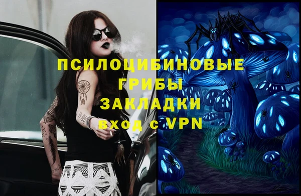 амф Бугульма