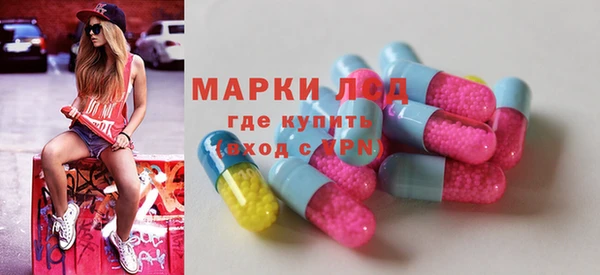 дживик Бронницы