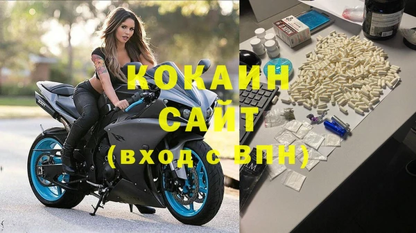 дживик Бронницы