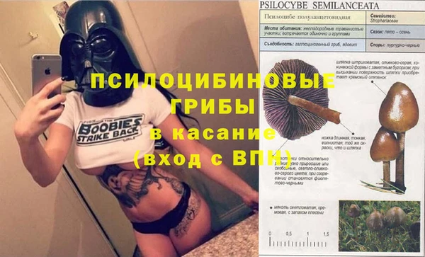 амф Бугульма