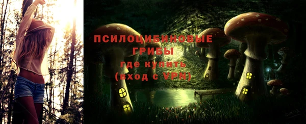 амф Бугульма