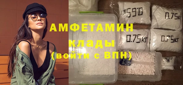 дживик Бронницы