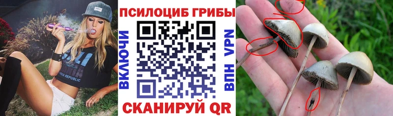 Псилоцибиновые грибы Magic Shrooms Наро-Фоминск